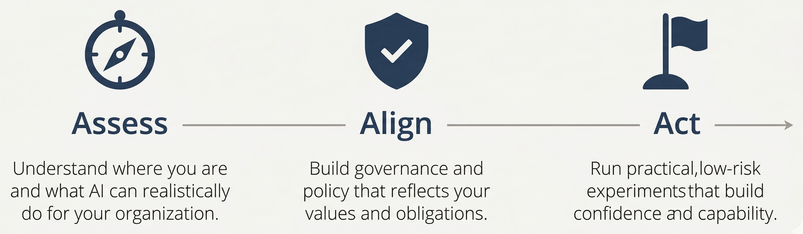 The Bridges Strategy process: Assess, Align, Act