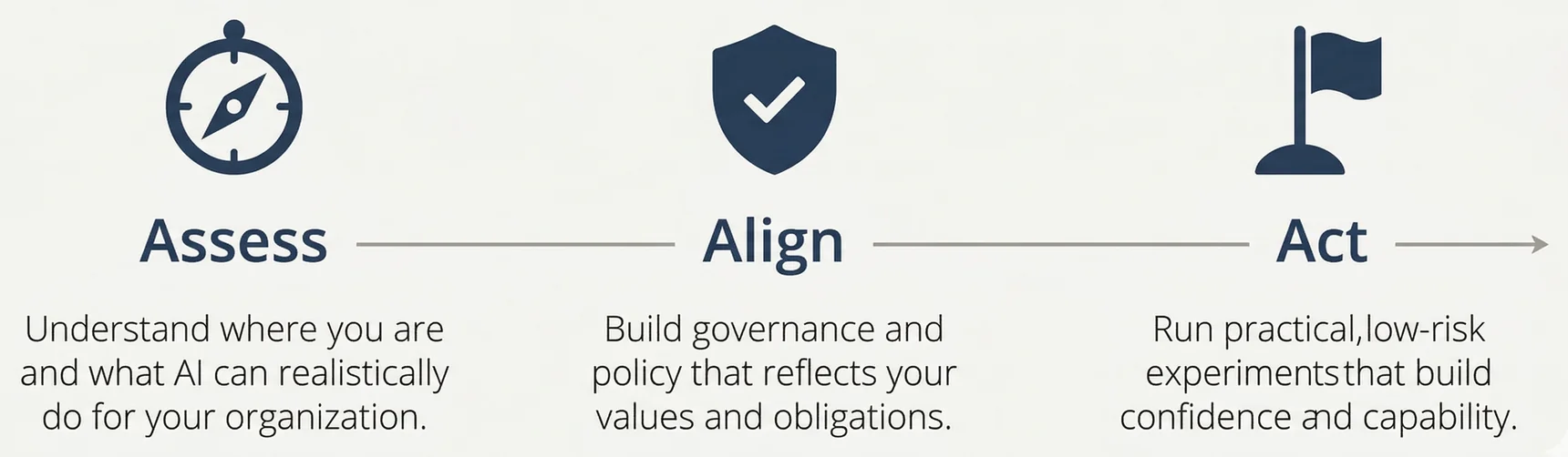 The Bridges Strategy process: Assess, Align, Act